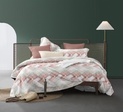 Fancy Print Comforter Set to US
